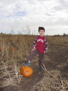 little-boy-in-pumpkin-patch2-768x1024
