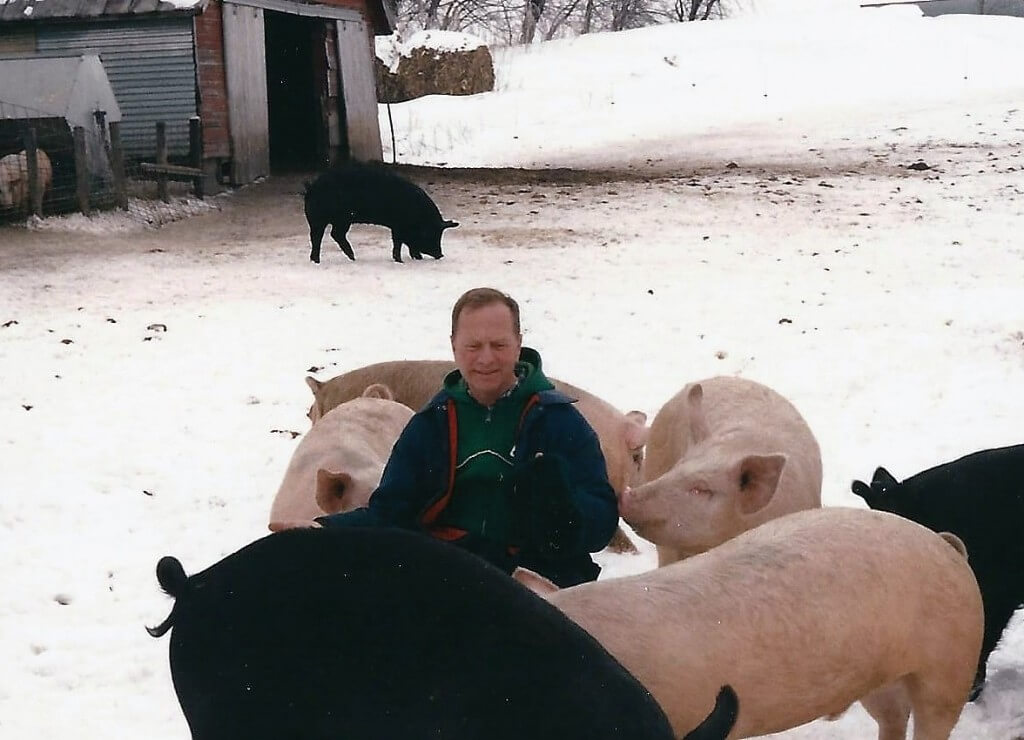 Paul and pigs 2 WINTER (3)