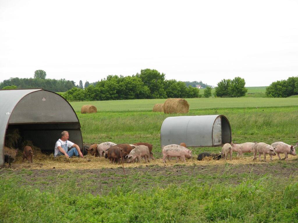 Paul Willis, Founder of Niman Ranch Pork Company.