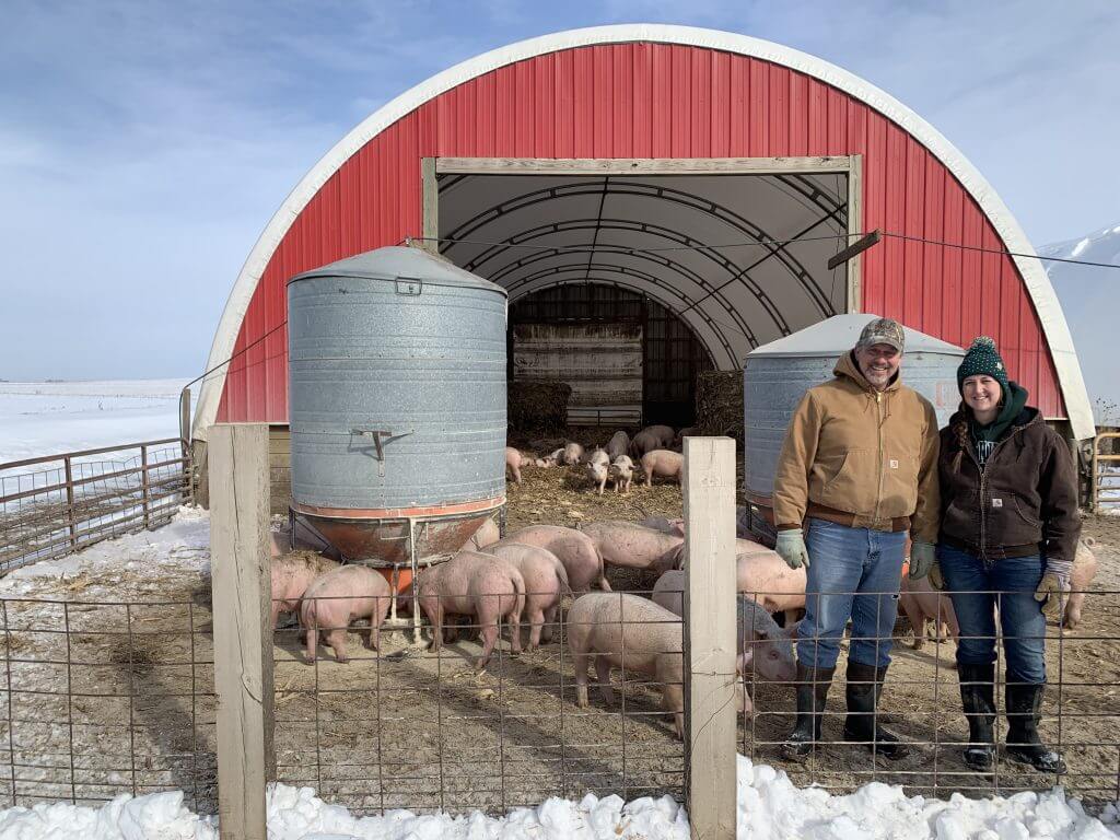 Pigs in a hoop barn with bedding on a snowy day