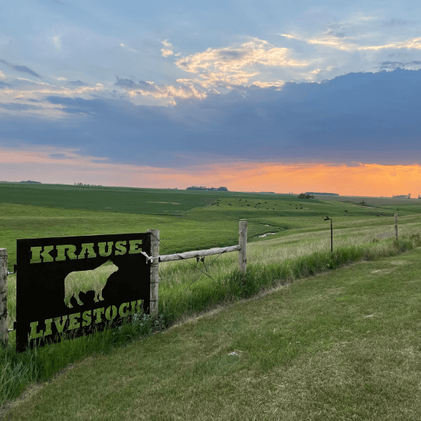 Krauss Livestock ranch view